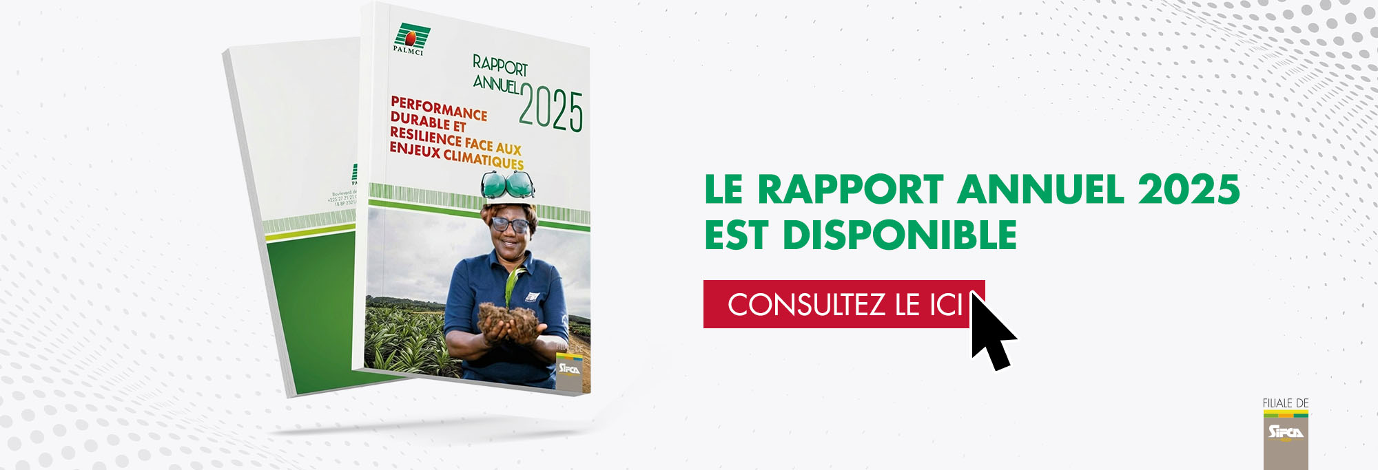 RA PALMCI 2025 SLIDE